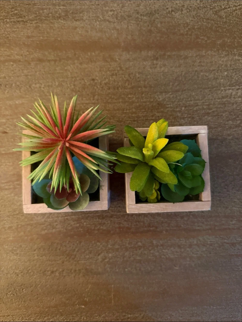 Artificial Succulent Duo in Wooden Planters - Green & Coral Accent